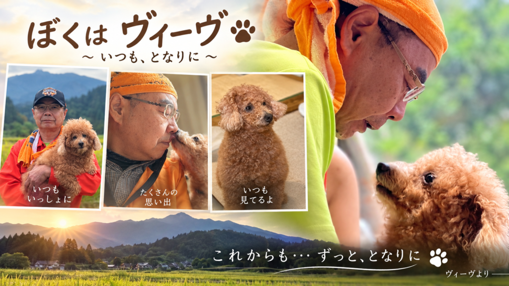 ヴィーヴのPV完成